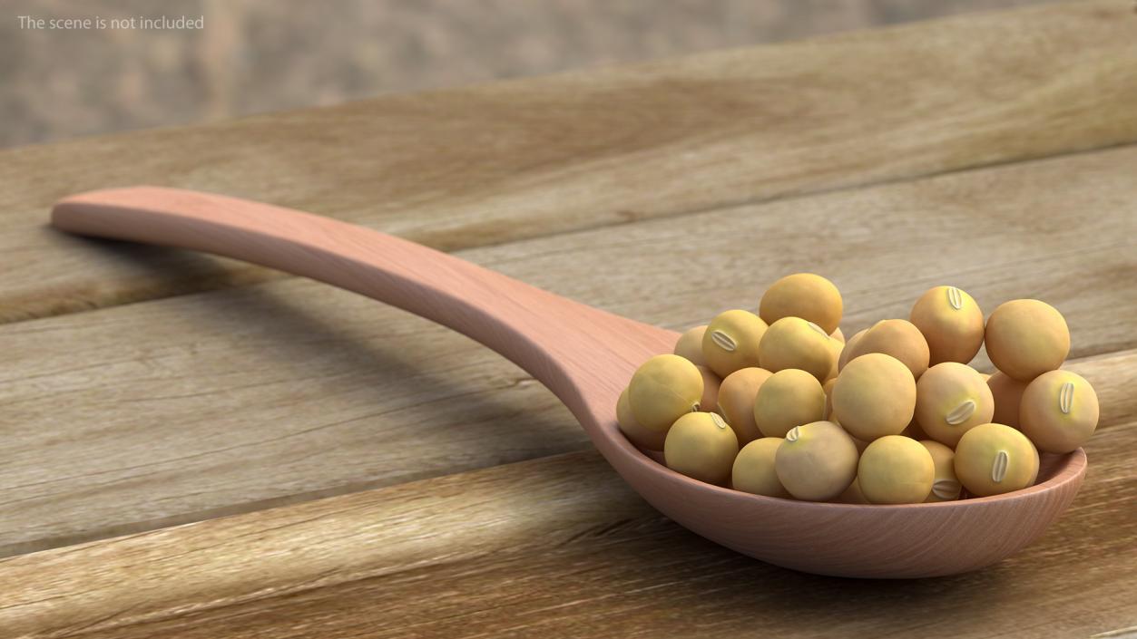 3D model Soy Beans in Wooden Spoon