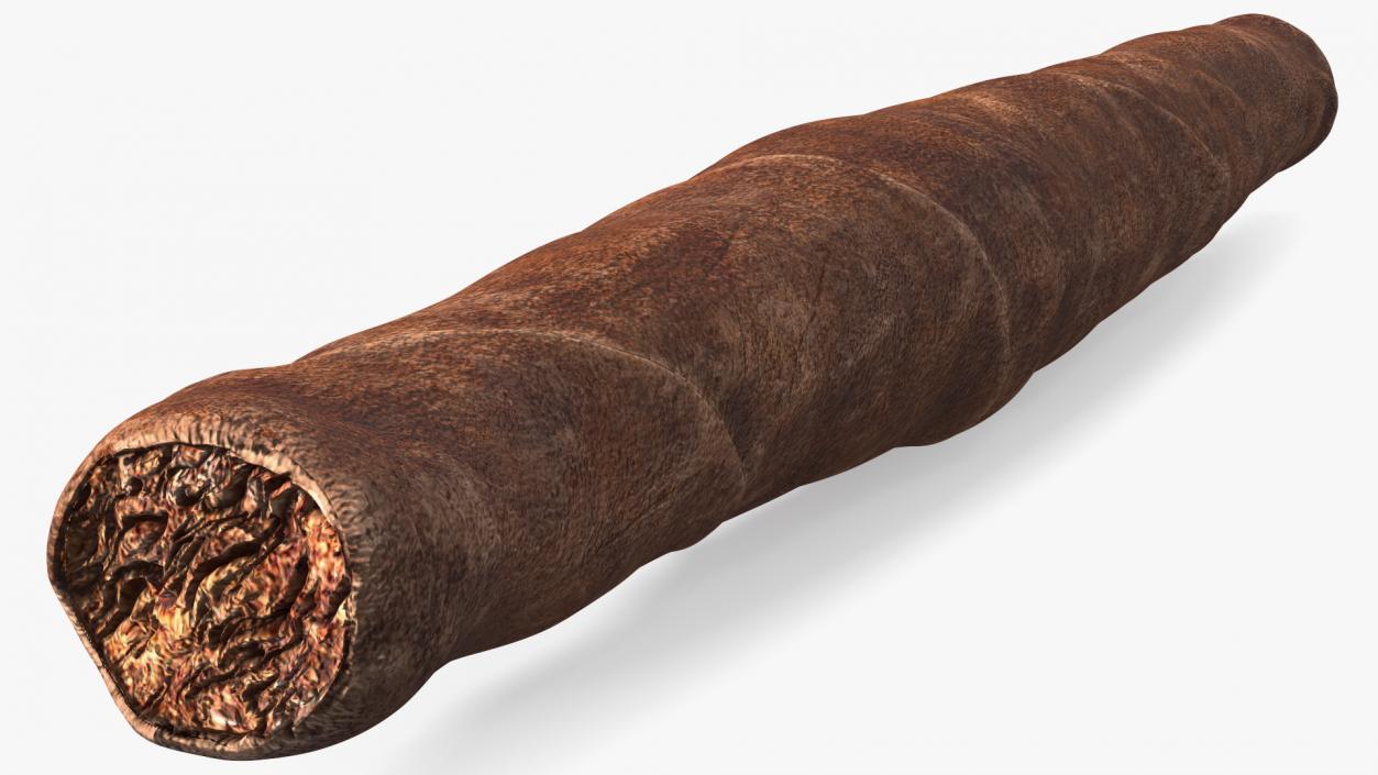 Single Cigar 3D