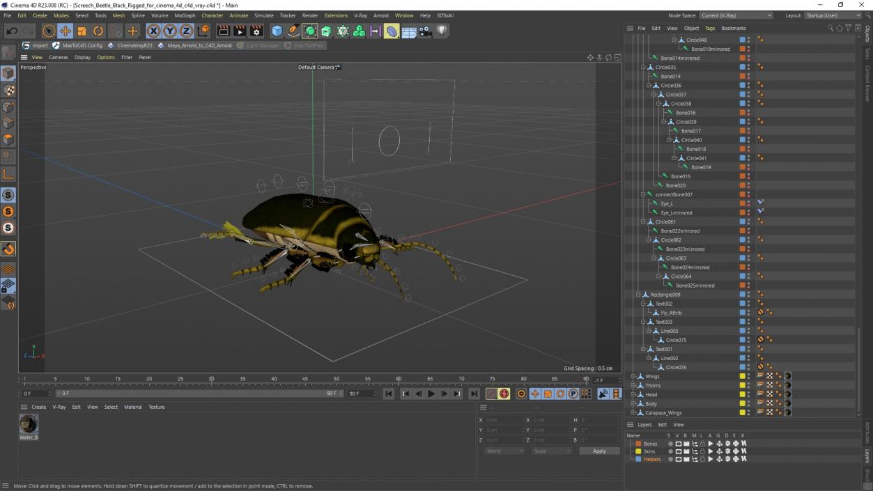 3D Screech Beetle Black Rigged for Cinema 4D