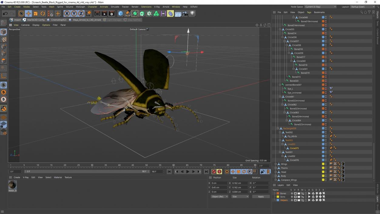 3D Screech Beetle Black Rigged for Cinema 4D