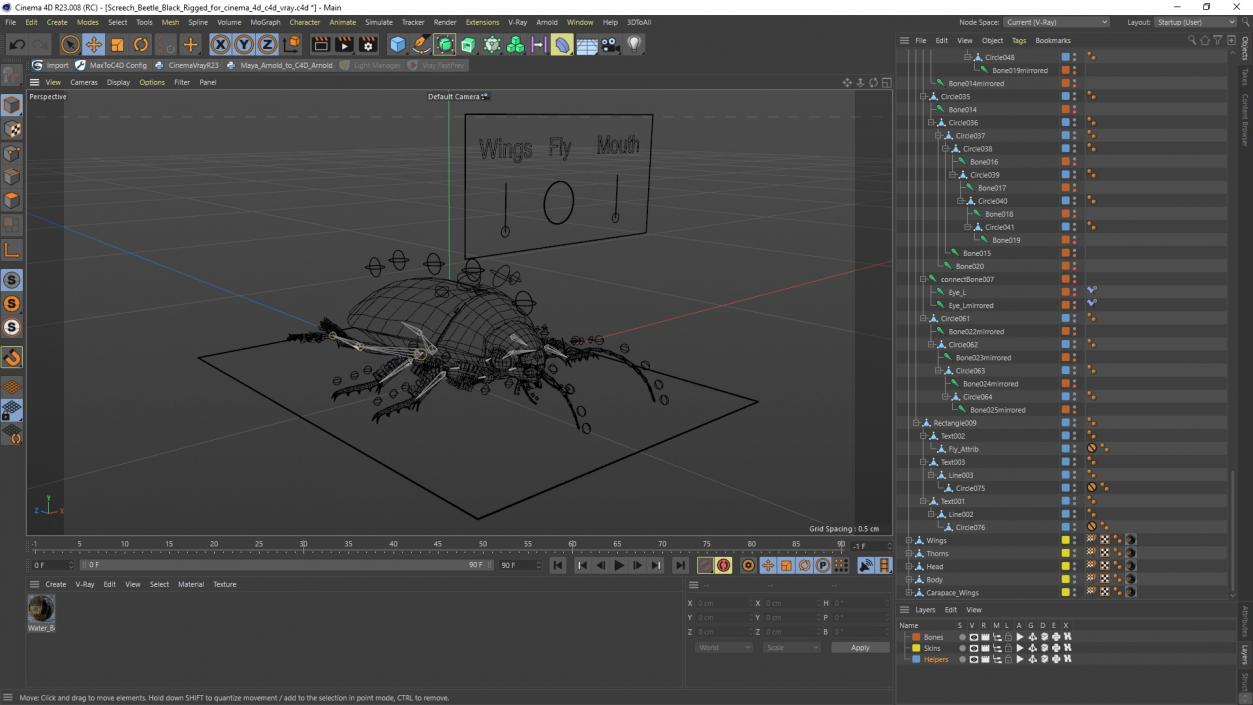 3D Screech Beetle Black Rigged for Cinema 4D