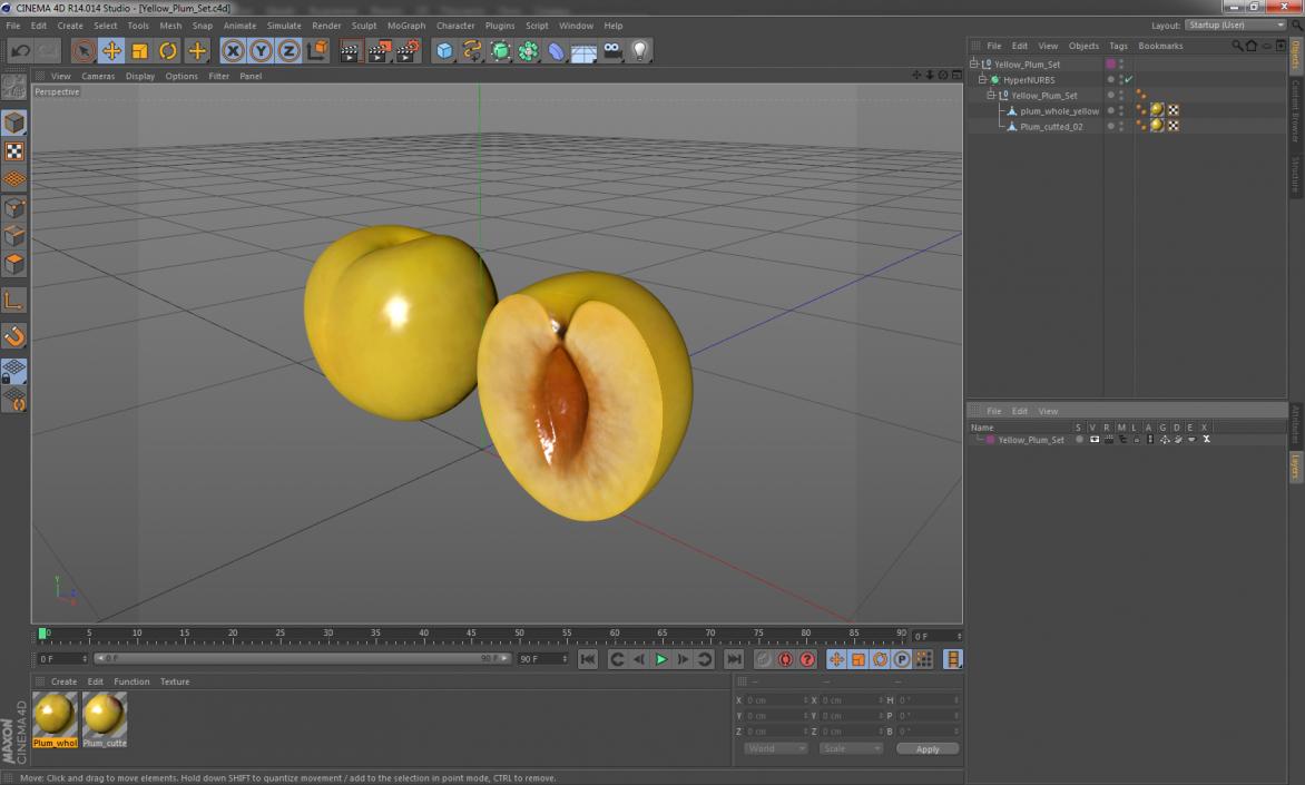 3D model Yellow Plum Set