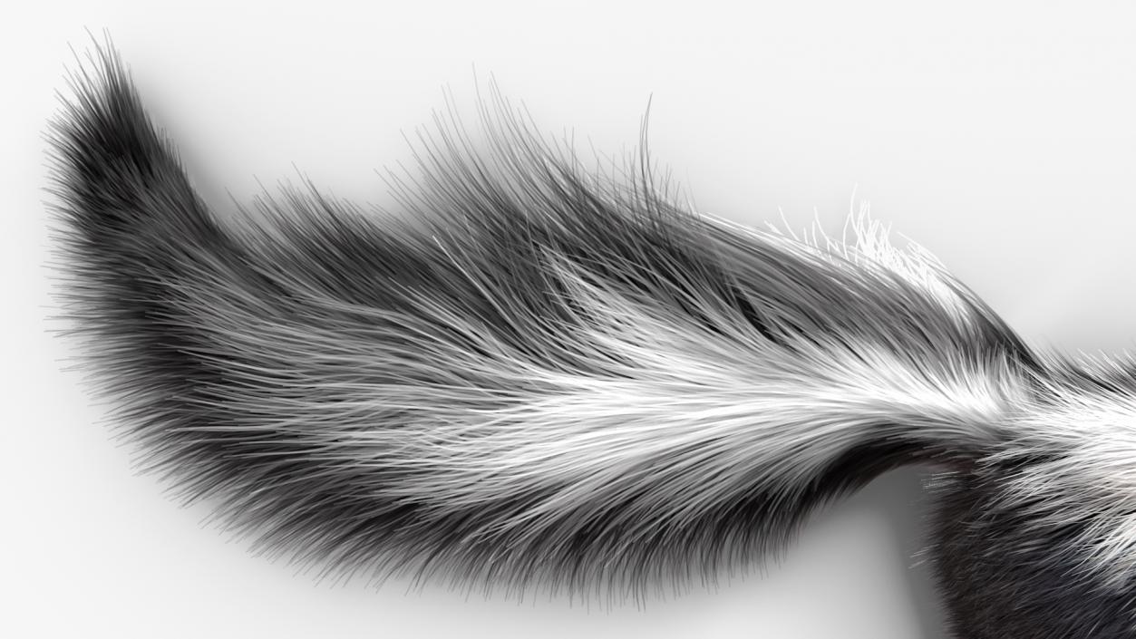 3D model Skunk Lying Fur