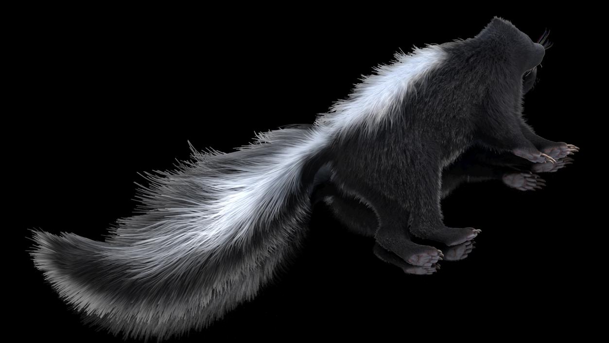 3D model Skunk Lying Fur