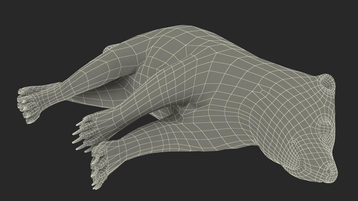 3D model Skunk Lying Fur