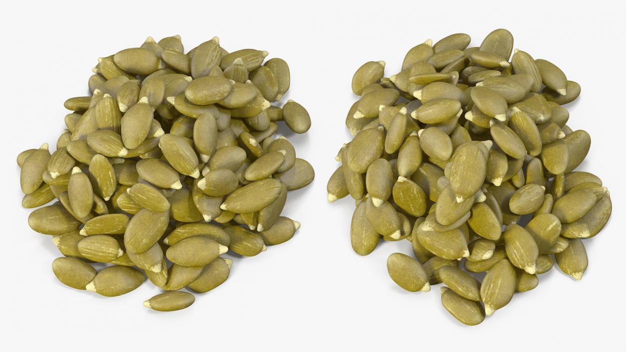 3D model Peeled Pumpkin Seeds