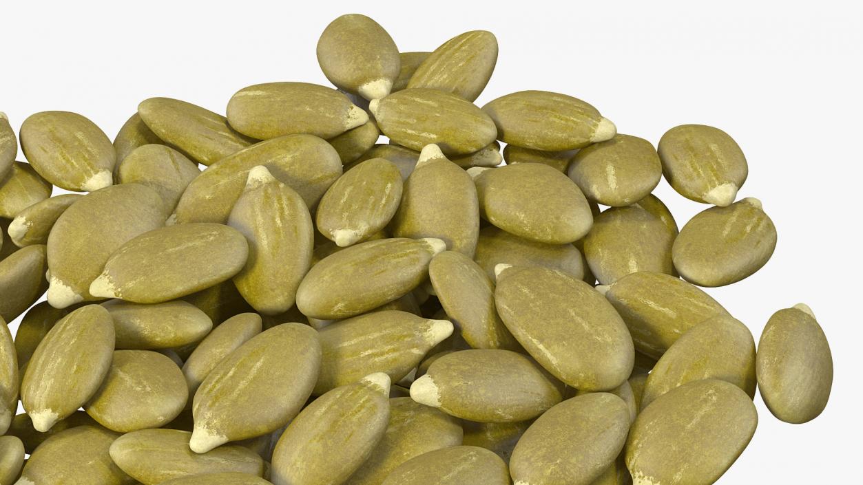 3D model Peeled Pumpkin Seeds