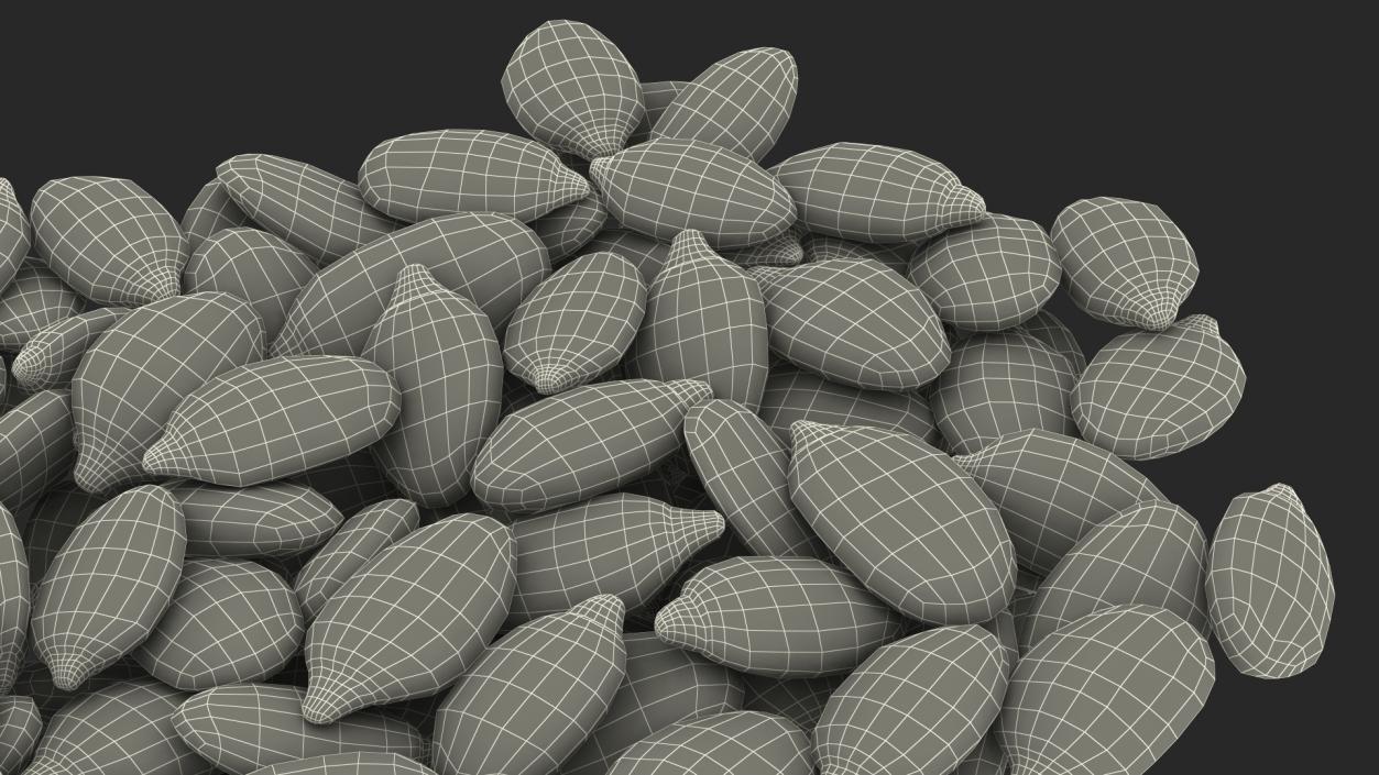 3D model Peeled Pumpkin Seeds