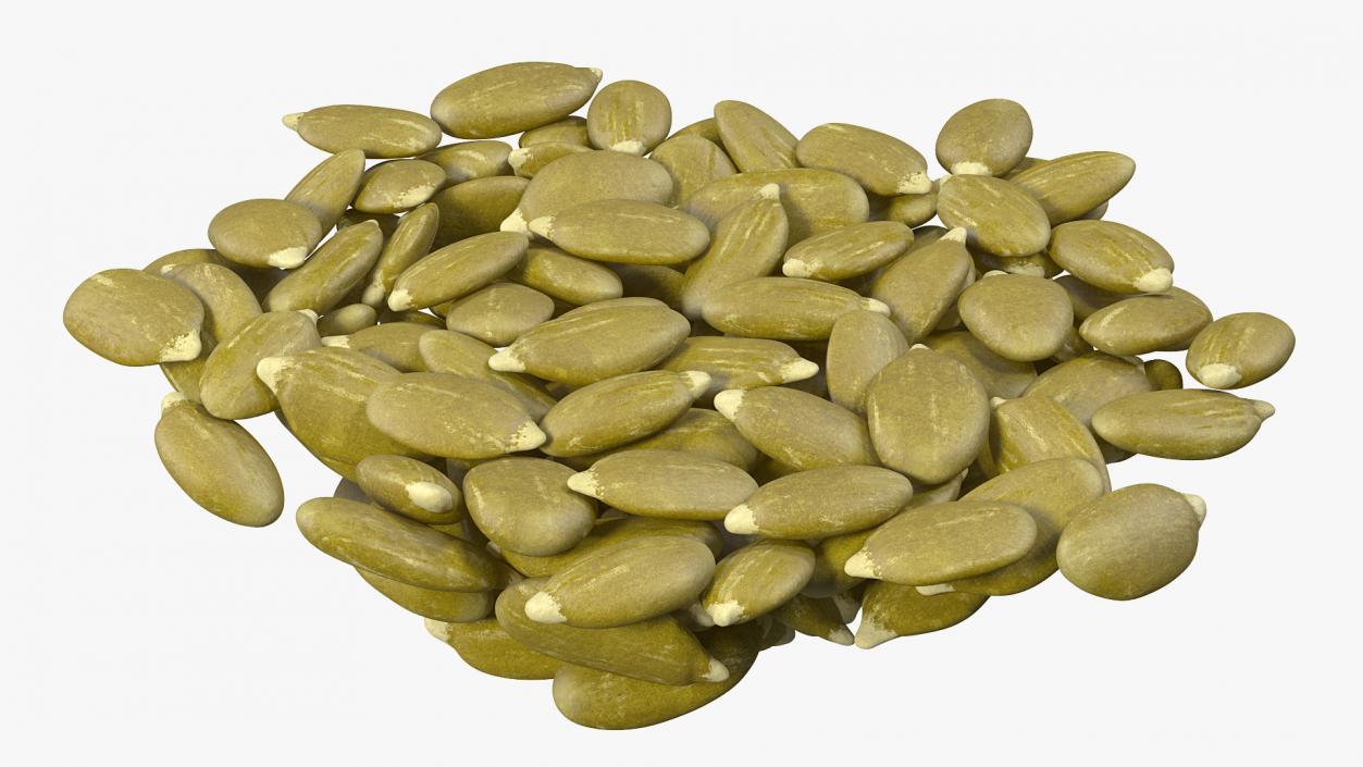 3D model Peeled Pumpkin Seeds