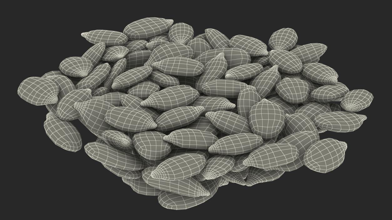 3D model Peeled Pumpkin Seeds