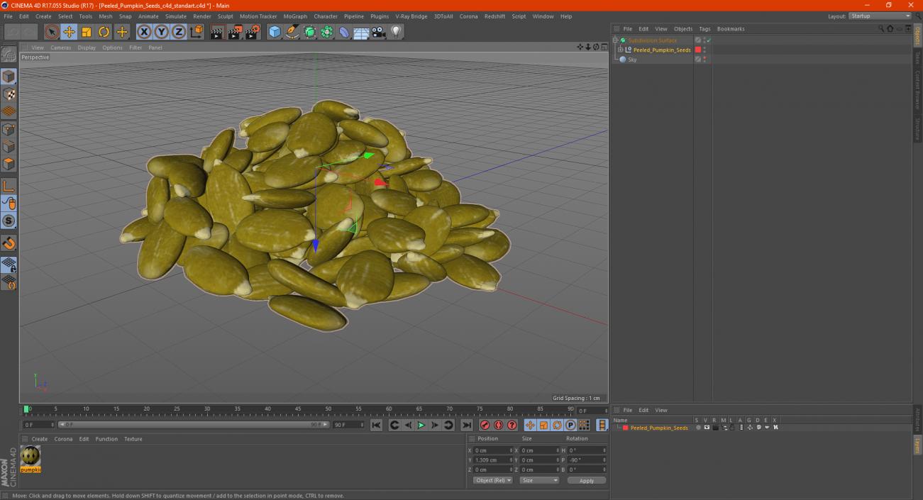 3D model Peeled Pumpkin Seeds