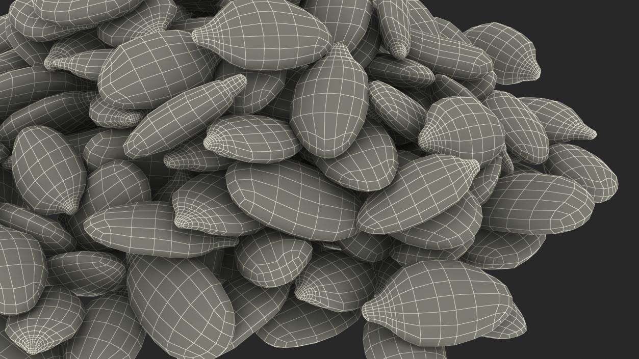 3D model Peeled Pumpkin Seeds