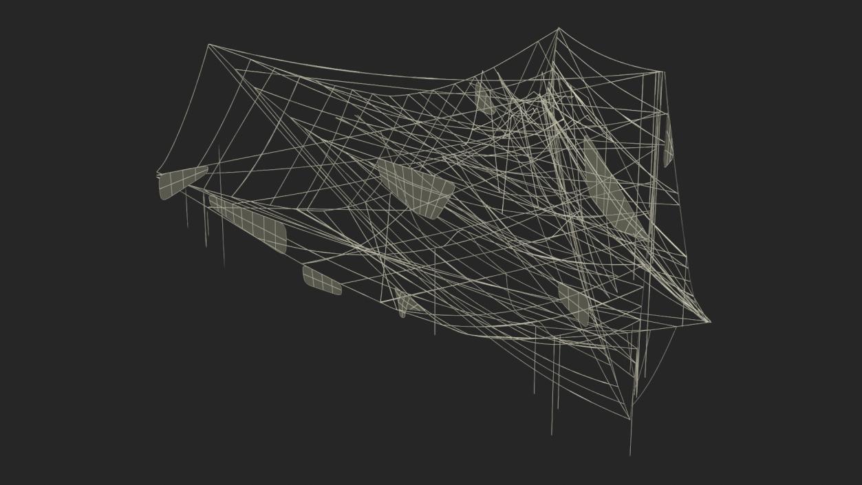 Spider Webs Collection 3 3D model