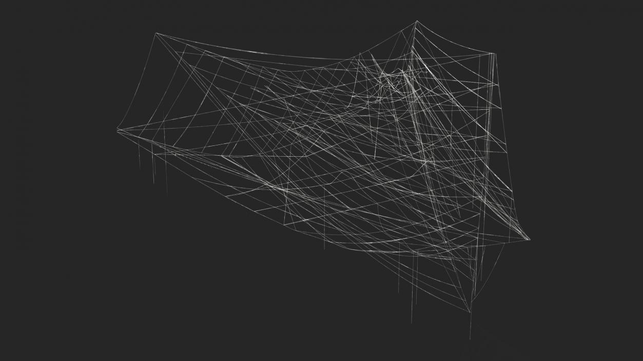 Spider Webs Collection 3 3D model