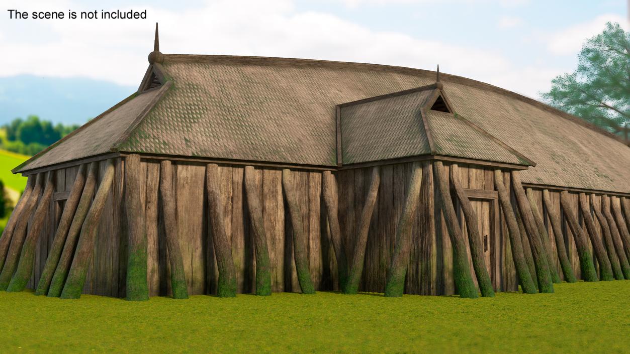 Aged Long Vikings House Simple Interior 3D model