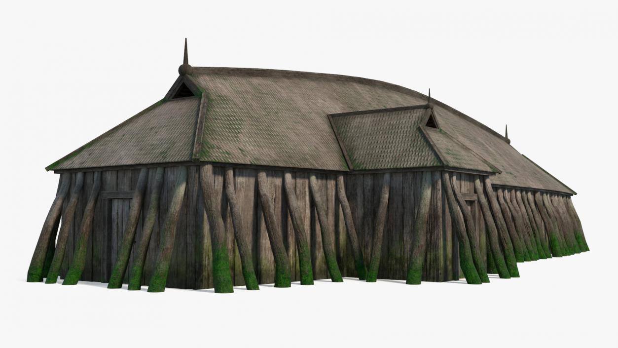 Aged Long Vikings House Simple Interior 3D model