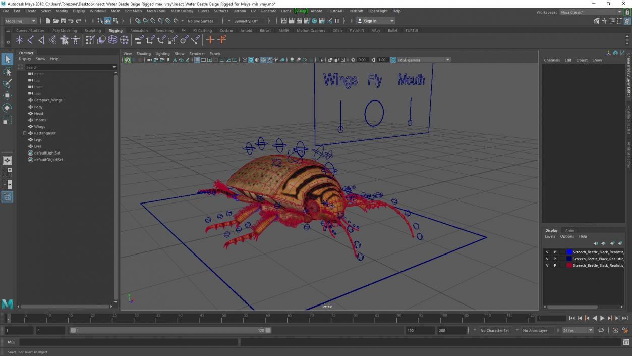 3D Insect Water Beetle Beige Rigged for Maya