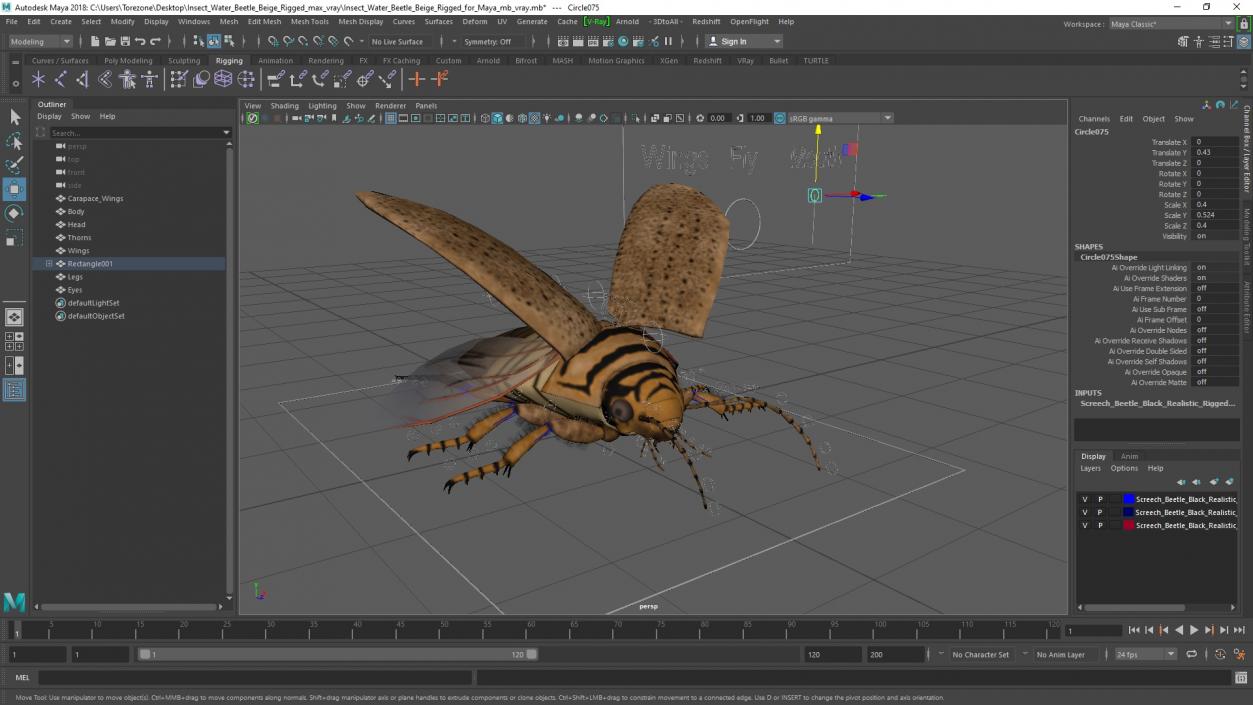 3D Insect Water Beetle Beige Rigged for Maya