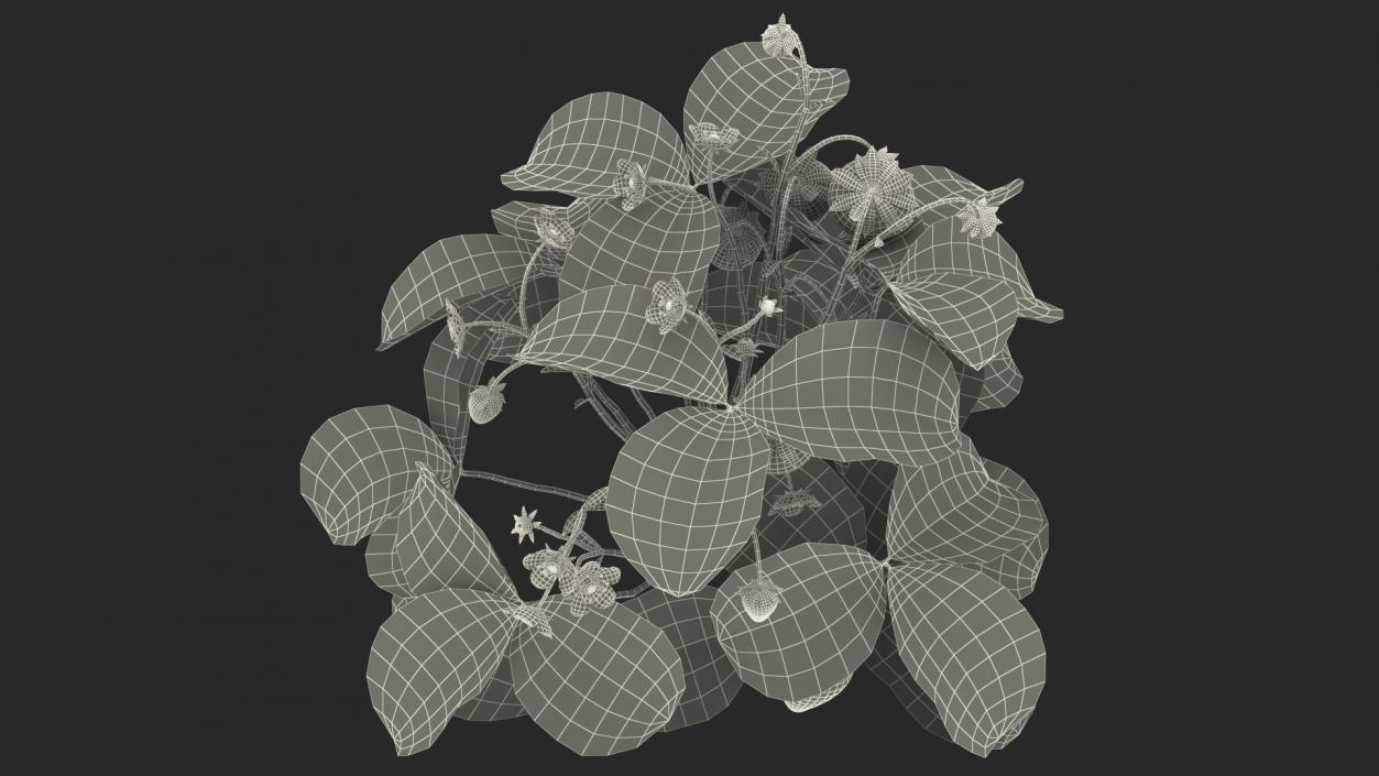 3D model Bush of Strawberry Plant with Fruits Set