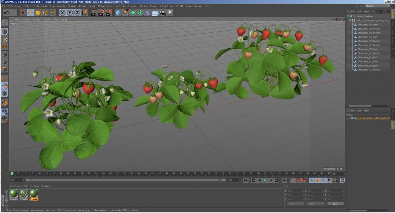 3D model Bush of Strawberry Plant with Fruits Set