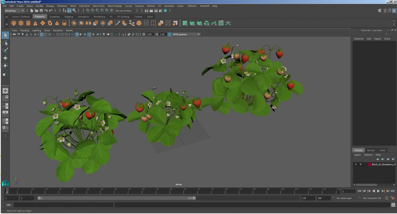 3D model Bush of Strawberry Plant with Fruits Set