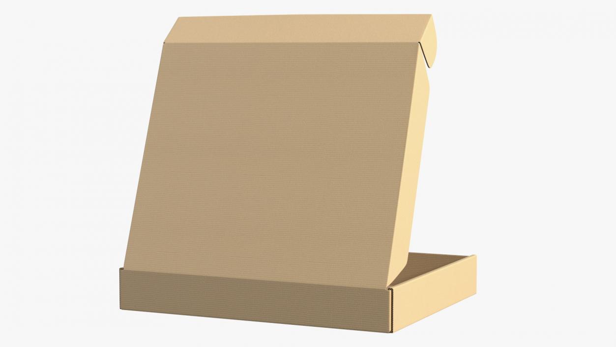 3D Opened Package Cardboard Box model