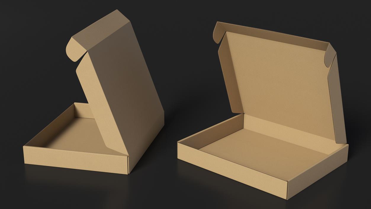 3D Opened Package Cardboard Box model