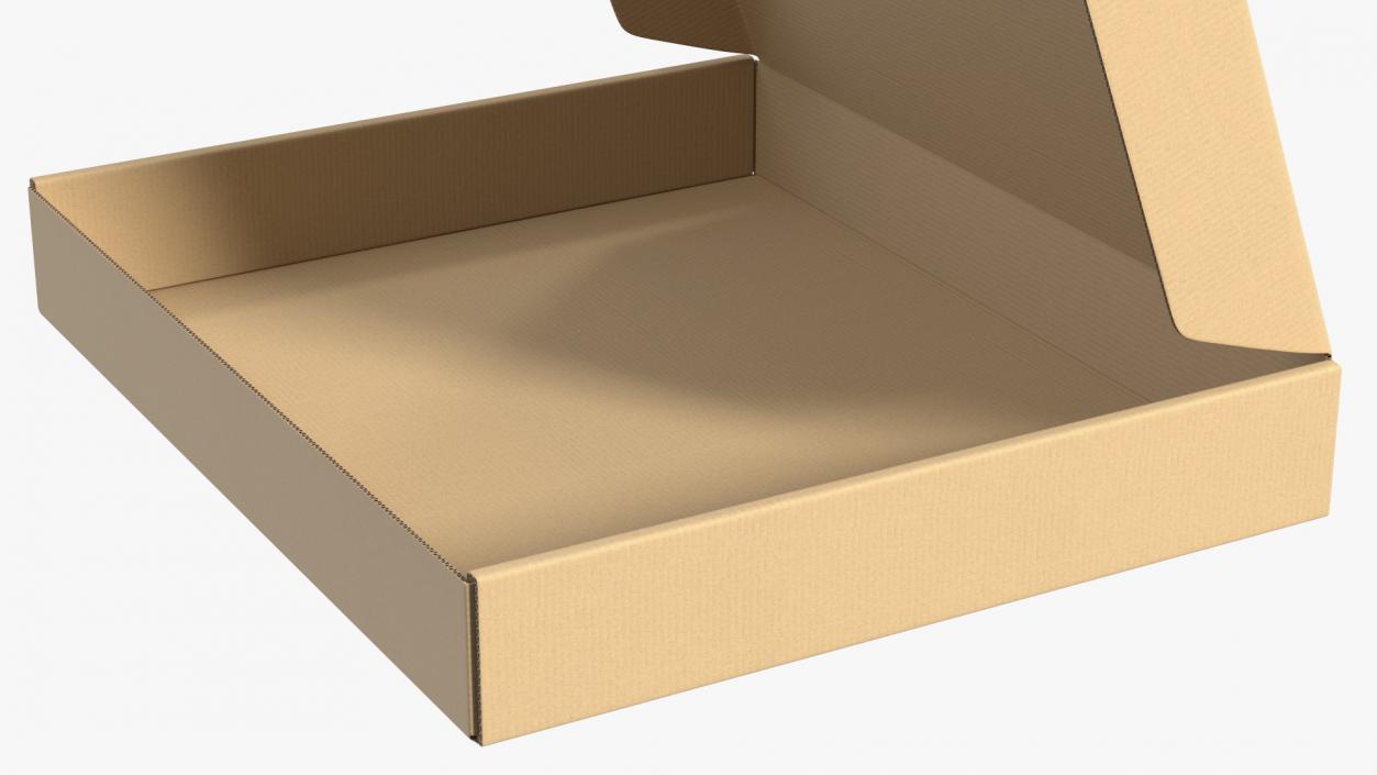 3D Opened Package Cardboard Box model