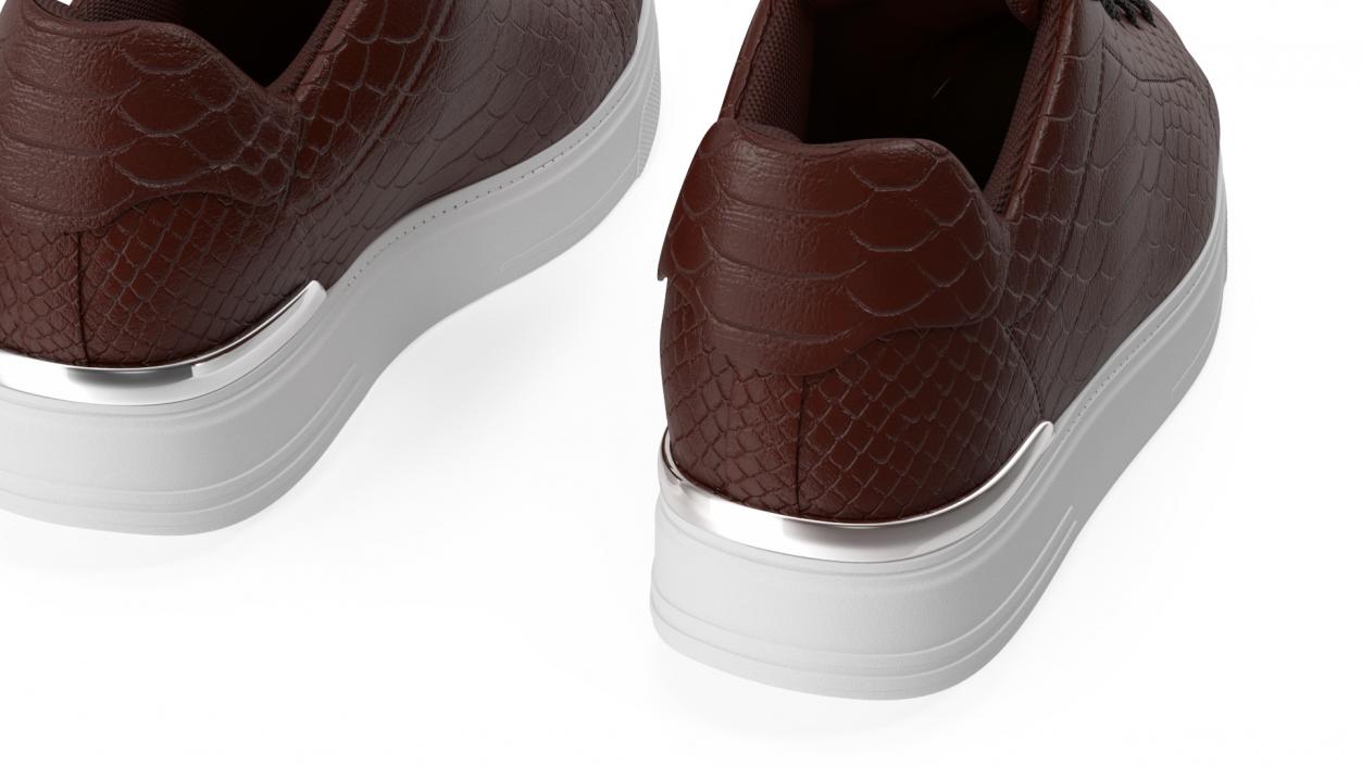 Sneakers Python Leather Brown 3D model