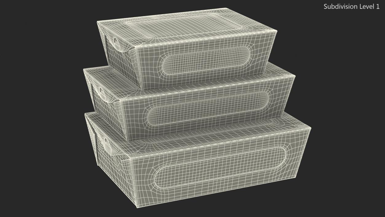 Kraft Salad Box with Clear Window Set 3D