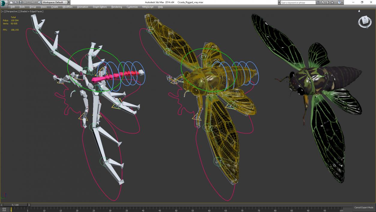 Cicada Rigged for Maya 3D