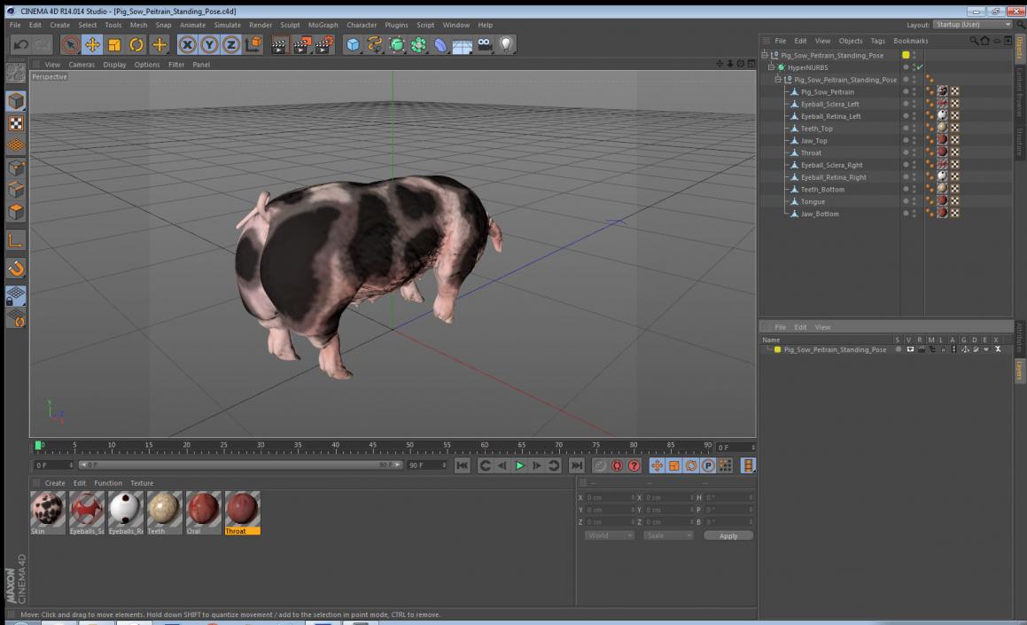 3D model Pig Sow Peitrain Standing Pose