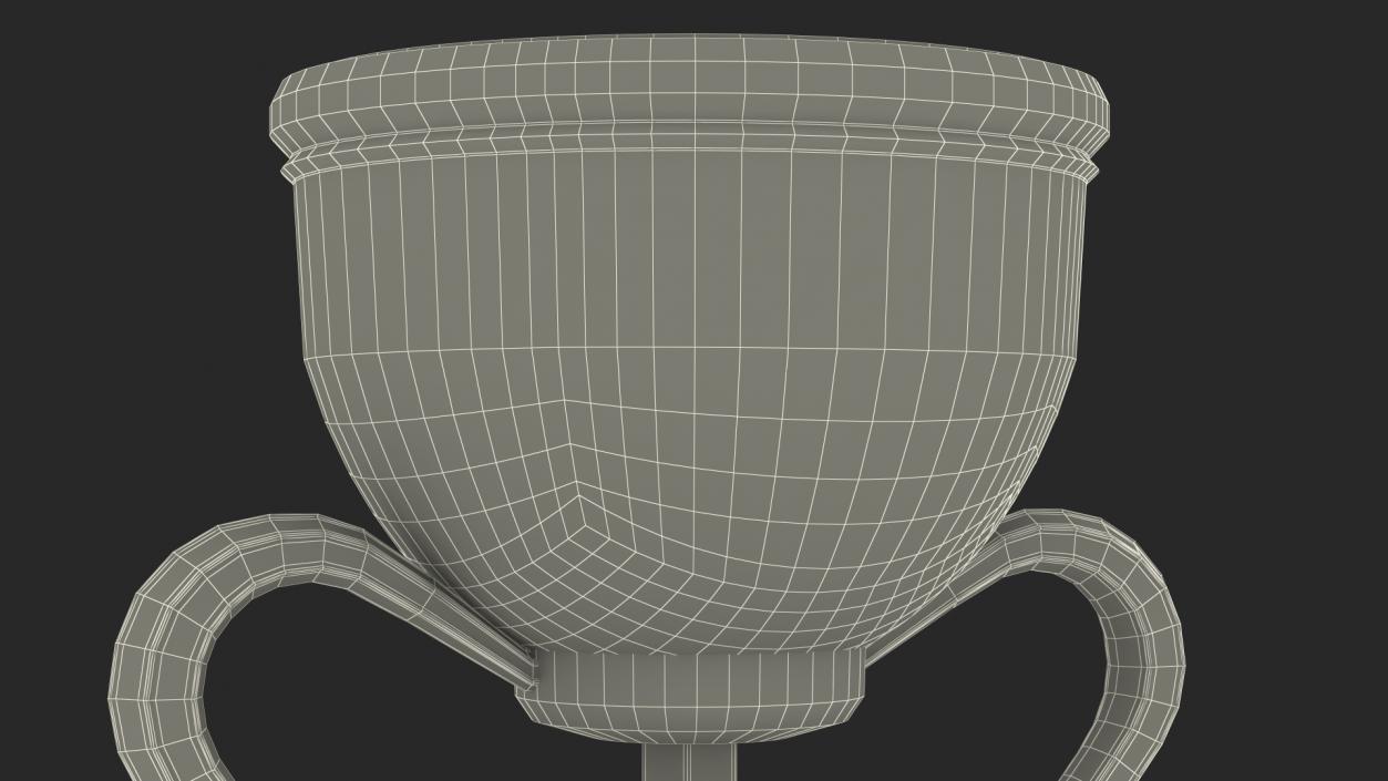 Holy Grail Cup 3D model