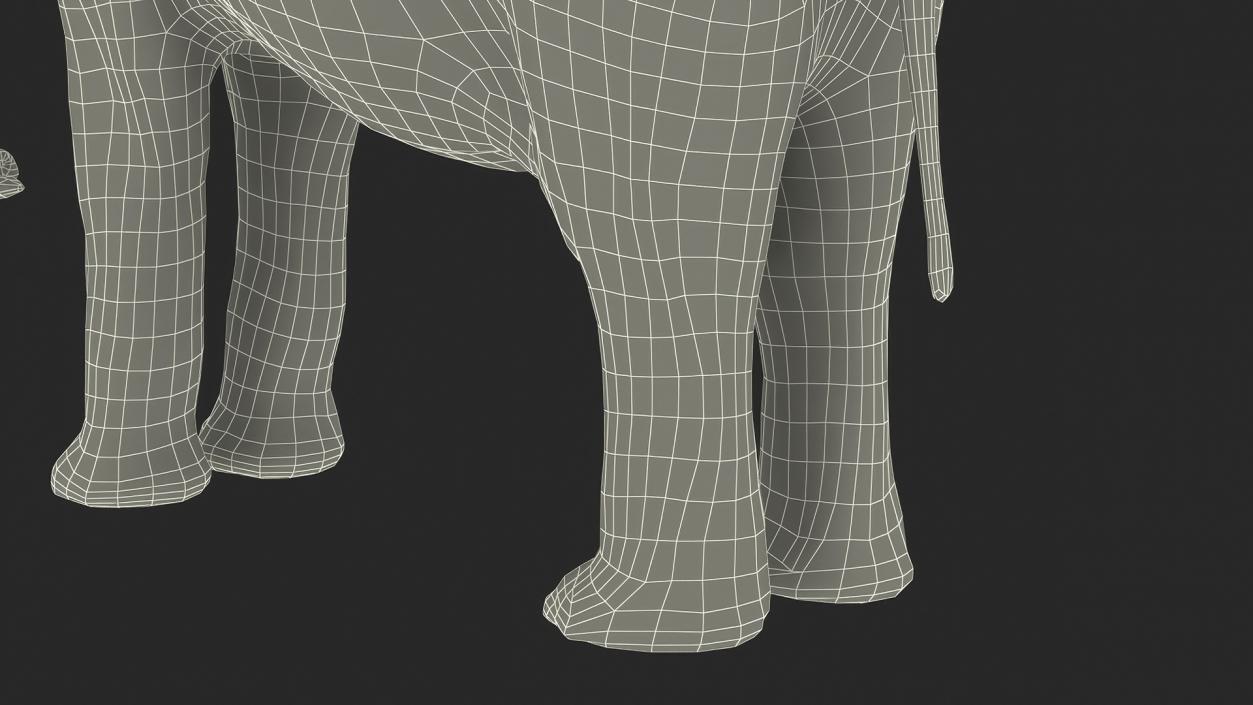 African Elephant Photorealistic Rigged Fur 3D