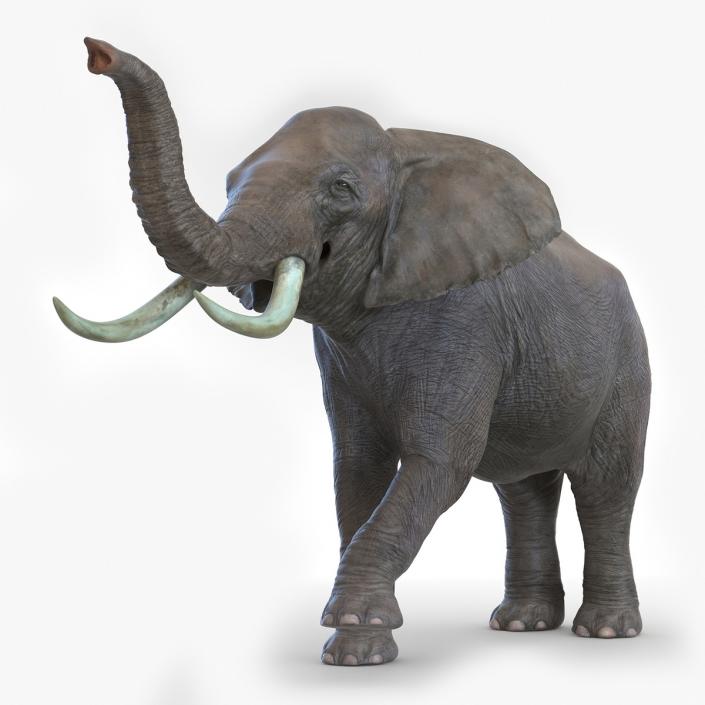 African Elephant Photorealistic Rigged Fur 3D