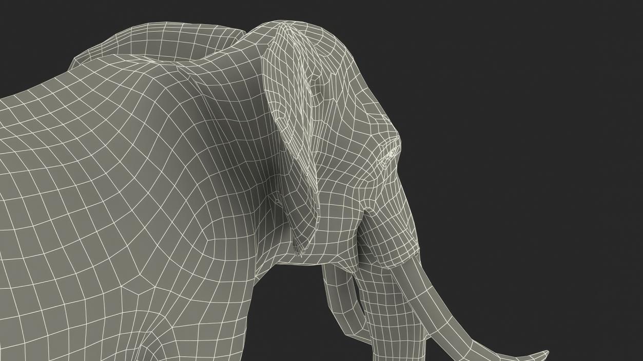 African Elephant Photorealistic Rigged Fur 3D