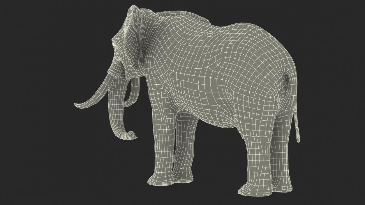 African Elephant Photorealistic Rigged Fur 3D