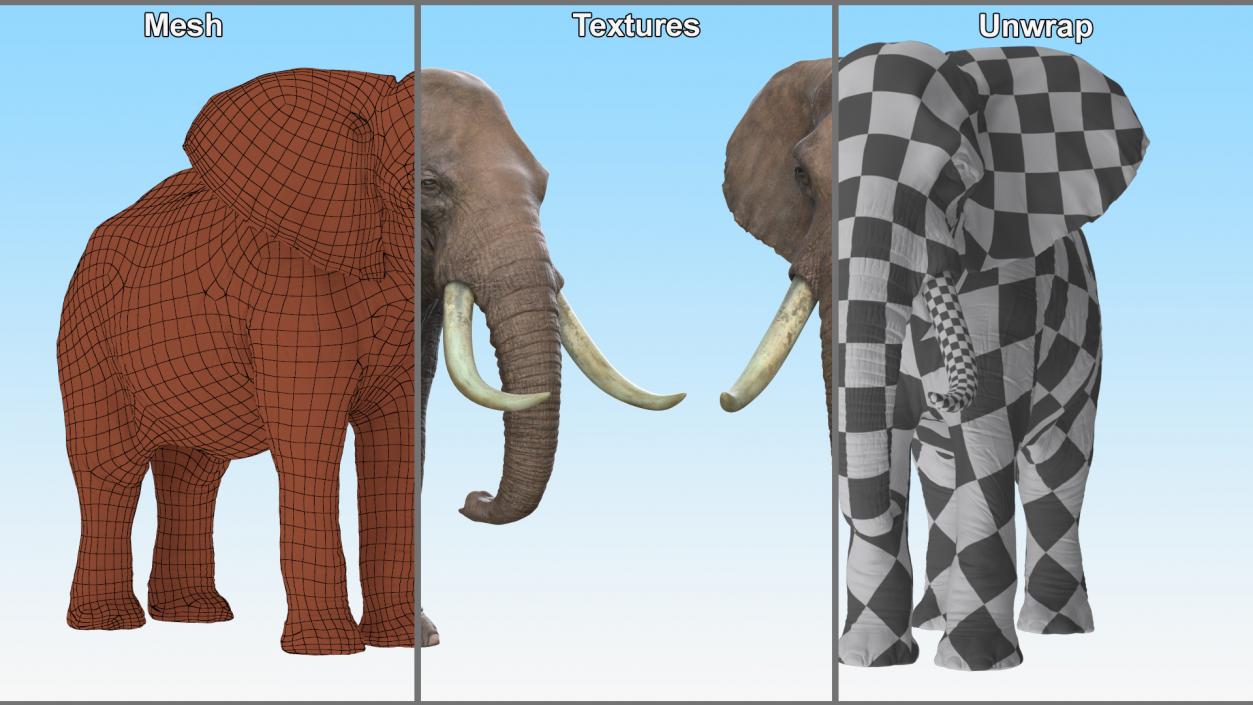 African Elephant Photorealistic Rigged Fur 3D