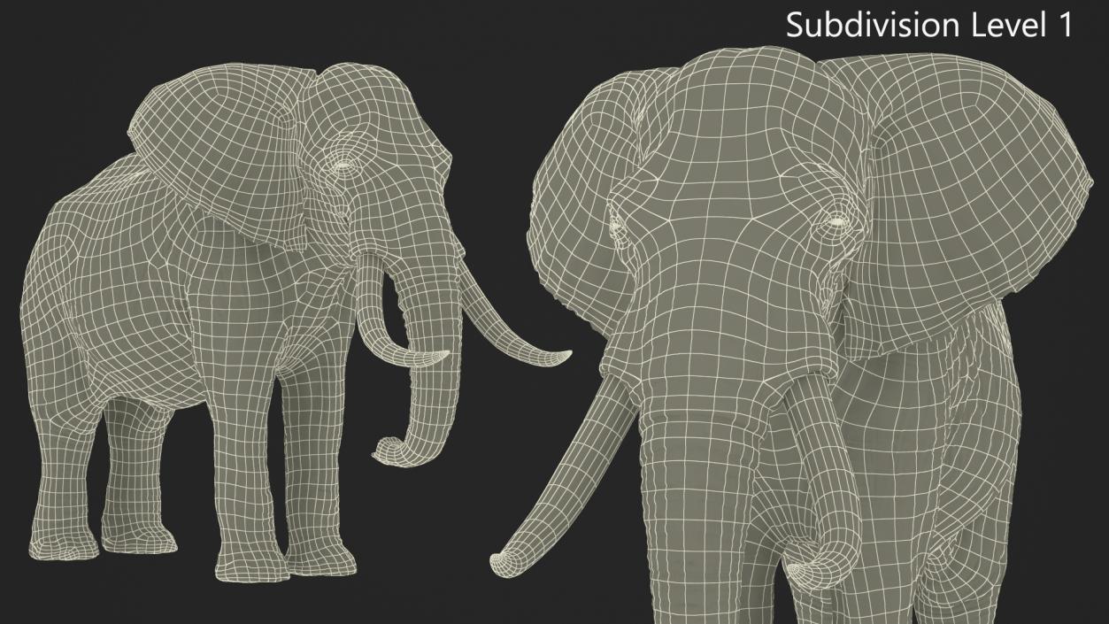 African Elephant Photorealistic Rigged Fur 3D