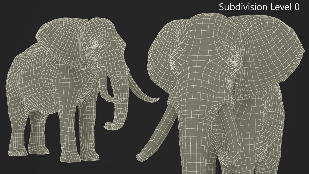 African Elephant Photorealistic Rigged Fur 3D