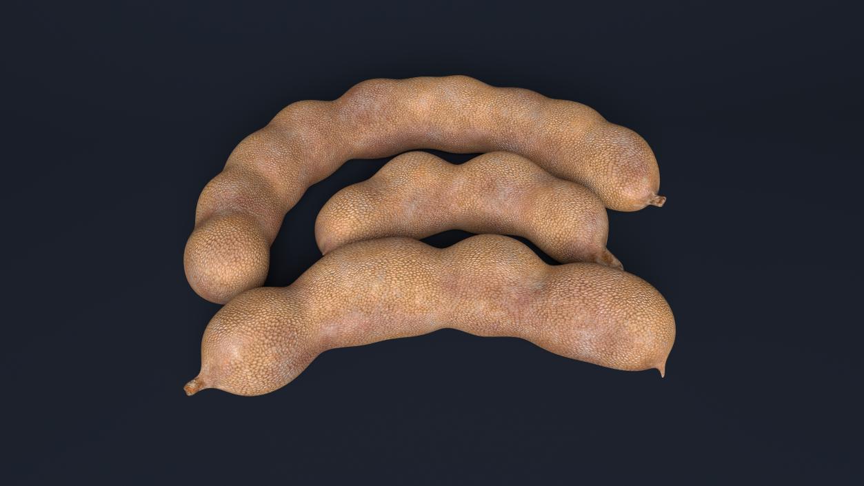 3D model Whole Tamarind Tropical Fruits