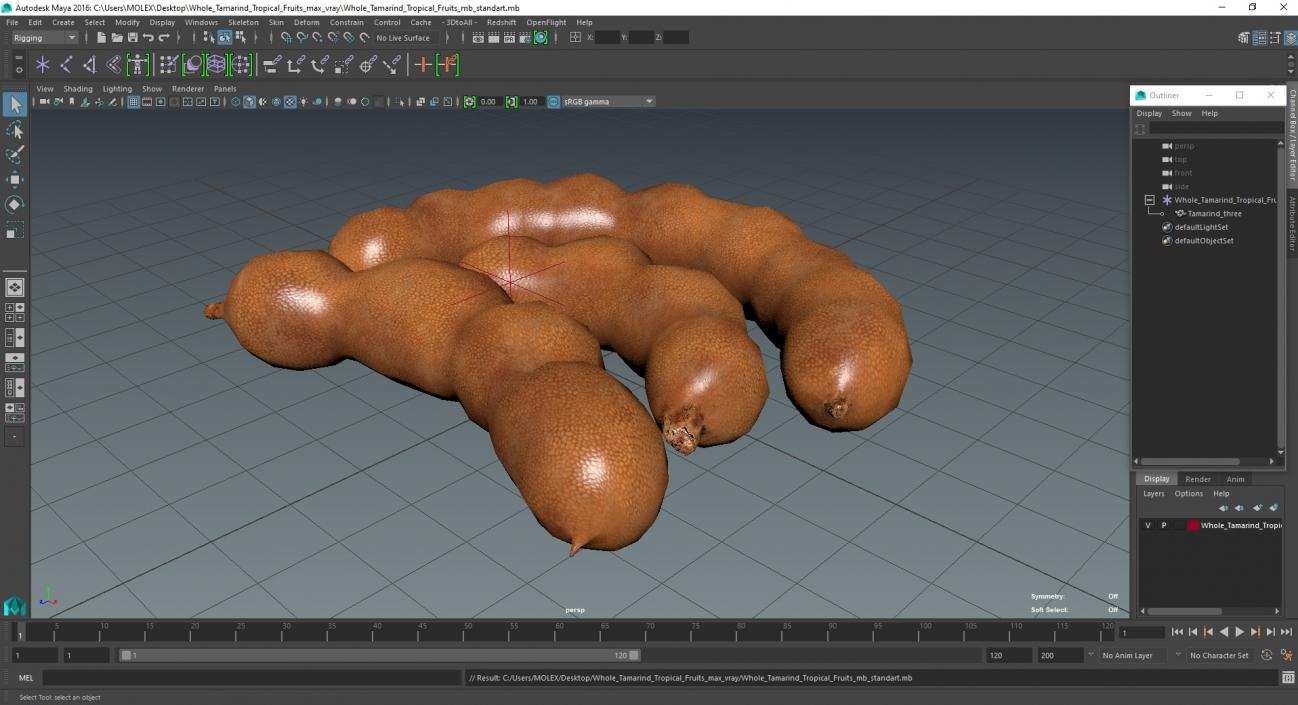 3D model Whole Tamarind Tropical Fruits