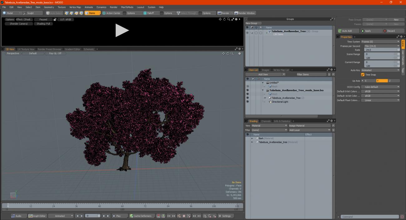 3D model Tabebuia Avellanedae Tree