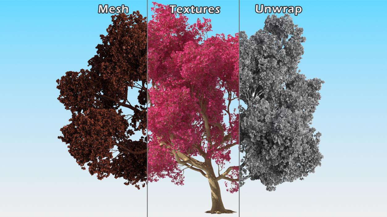 3D model Tabebuia Avellanedae Tree