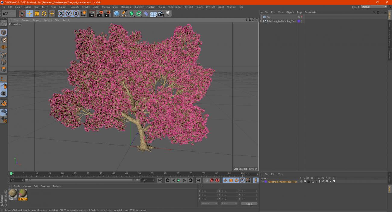 3D model Tabebuia Avellanedae Tree