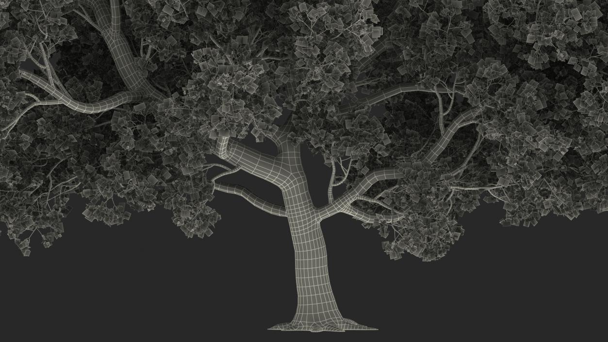 3D model Tabebuia Avellanedae Tree