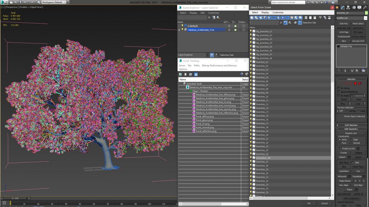 3D model Tabebuia Avellanedae Tree