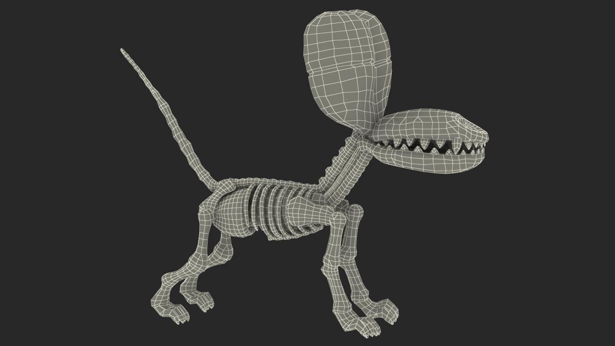 3D Mini Balloon Dog Skeleton Anatomy model