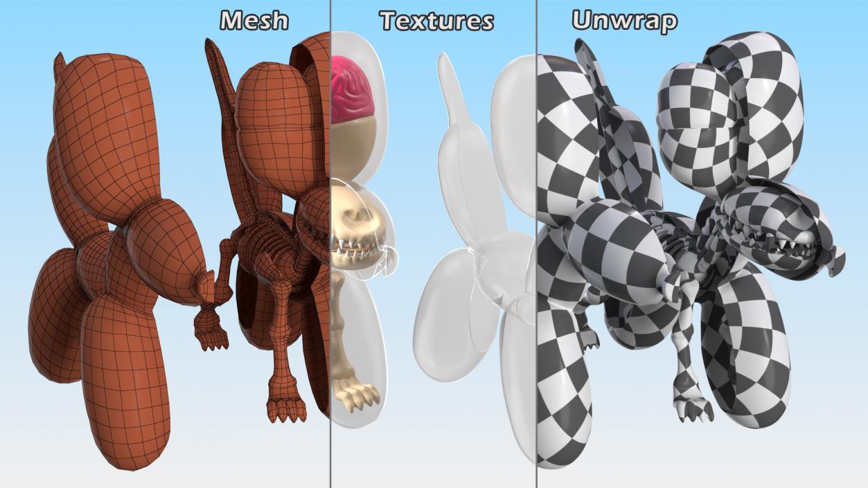 3D Mini Balloon Dog Skeleton Anatomy model