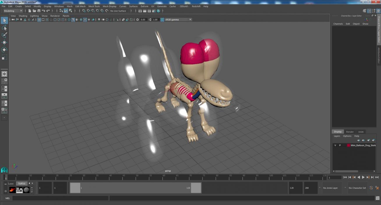 3D Mini Balloon Dog Skeleton Anatomy model